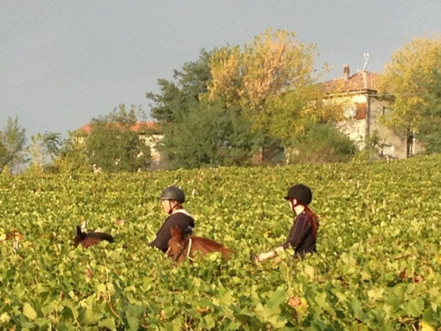 Trekking on horseback 